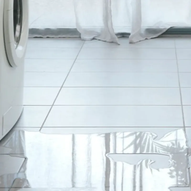 Appliance Leak Cleanup in Englewood, TN