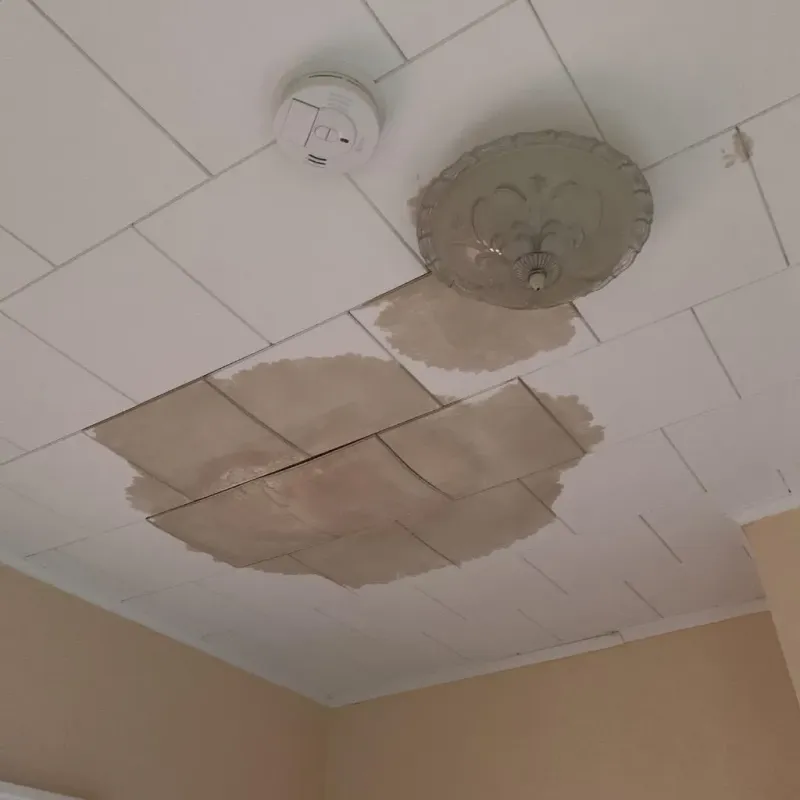 Ceiling Water Damage Repair in Englewood, TN