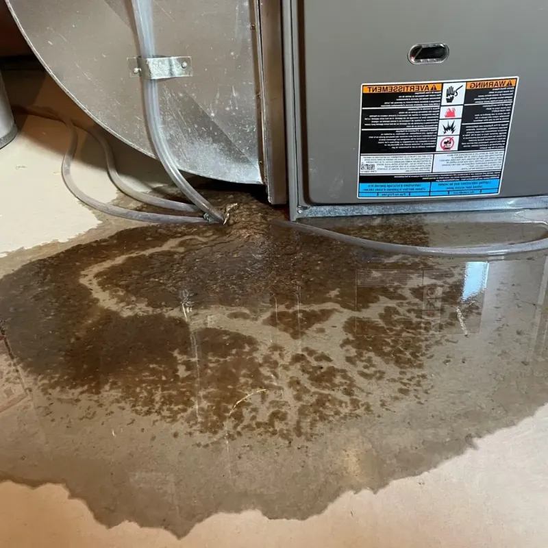 Pipe Burst and Leak Restoration in Englewood, TN