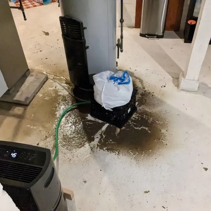 Sewage Backup Cleanup Service in Englewood, TN